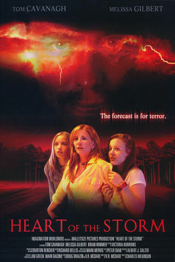 Страшнее шторма (2004)